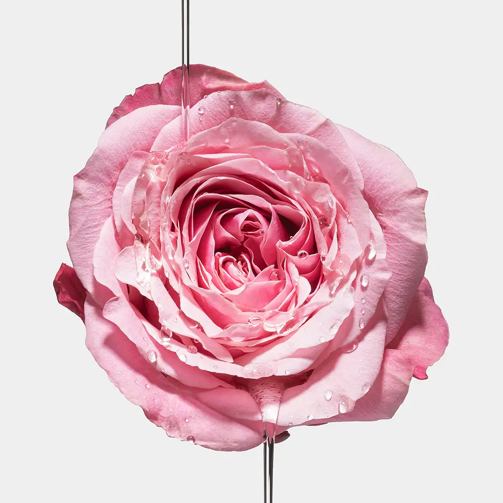 Floral
